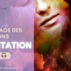 Méditation Guidée - Le voyage des émotions